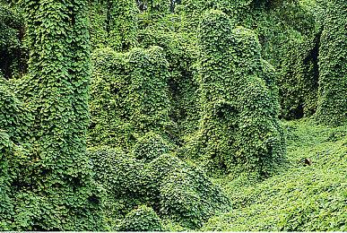 《战神》之父批评《星鸣特攻》角色设计：太辣眼睛了